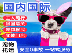 西双版纳航空邮寄国际宠物托运 【国